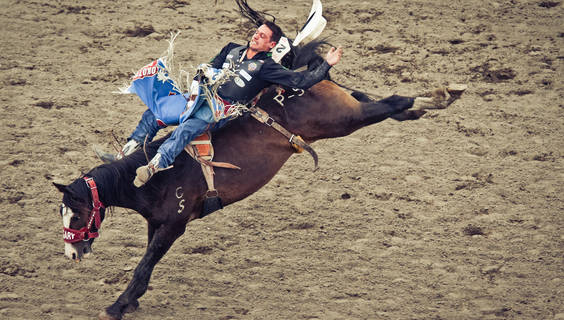 Kampf Mann gegen Pferd - meist gewinnt das Pferd.  © Calgary Stampede